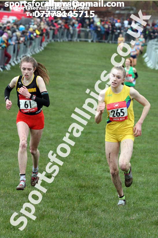 Intermediate girls 2019 New Balance English Schools Cross Country Champs, Temple Newsam, Leeds. Photo:  David T. Hewitson/Sports for All Pics